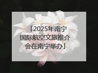 2025年南宁国际航空文旅推介会在南宁举办