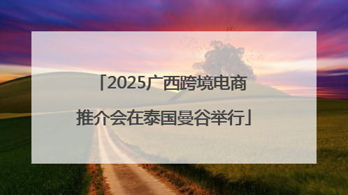2025广西跨境电商推介会在泰国曼谷举行