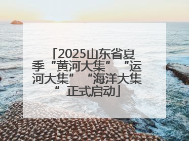 2025山东省夏季“黄河大集”“运河大集”“海洋大集”正式启动