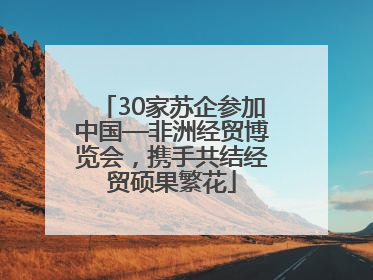 30家苏企参加中国—非洲经贸博览会，携手共结经贸硕果繁花