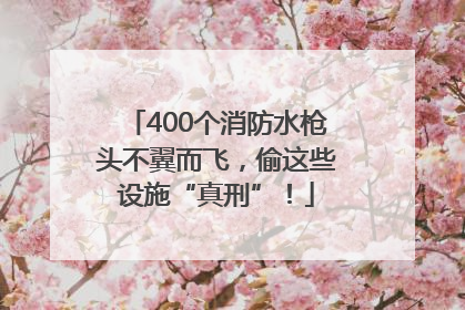 400个消防水枪头不翼而飞，偷这些设施“真刑”！
