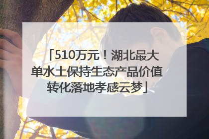 510万元！湖北最大单水土保持生态产品价值转化落地孝感云梦