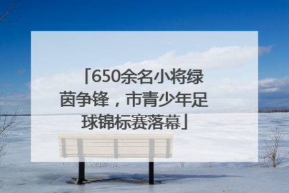 650余名小将绿茵争锋，市青少年足球锦标赛落幕