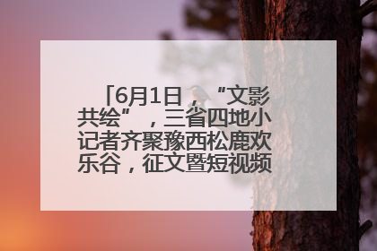 6月1日，“文影共绘”，三省四地小记者齐聚豫西松鹿欢乐谷，征文暨短视频大赛精彩启幕！