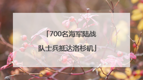 700名海军陆战队士兵抵达洛杉矶