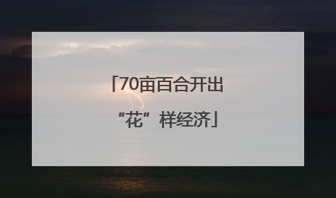 70亩百合开出“花”样经济