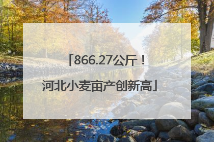 866.27公斤！河北小麦亩产创新高
