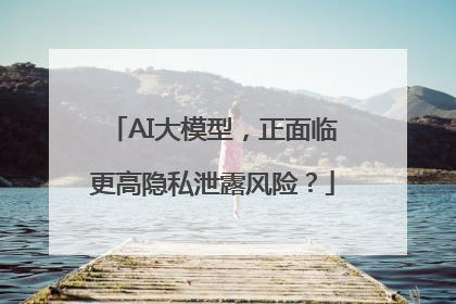 AI大模型，正面临更高隐私泄露风险？