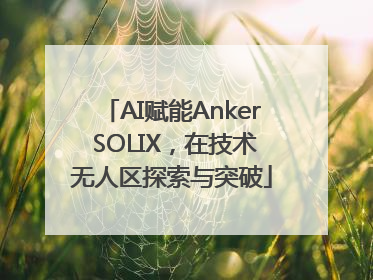 AI赋能Anker SOLIX，在技术无人区探索与突破