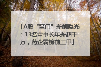 A股“掌门”薪酬曝光：13名董事长年薪超千万，药企霸榜前三甲