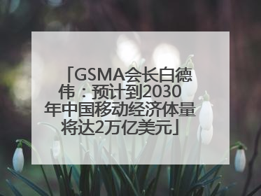 GSMA会长白德伟：预计到2030年中国移动经济体量将达2万亿美元