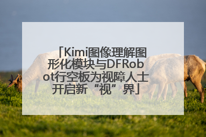 Kimi图像理解图形化模块与DFRobot行空板为视障人士开启新“视”界