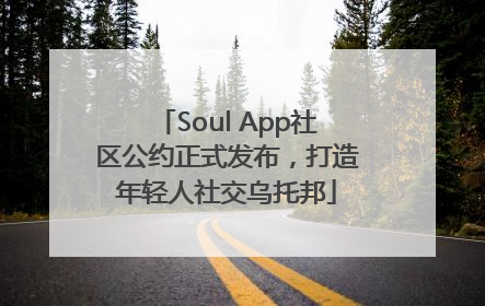 Soul App社区公约正式发布，打造年轻人社交乌托邦