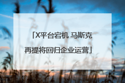 X平台宕机 马斯克再提将回归企业运营